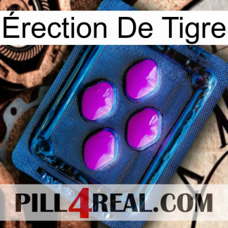Érection De Tigre 04